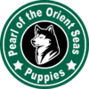 Pearl of the Orient Seas Puppies